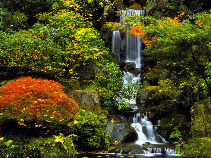 Japanese Garden, Portland, Oregon - 1600x1200 -  (700x525, 288Kb)