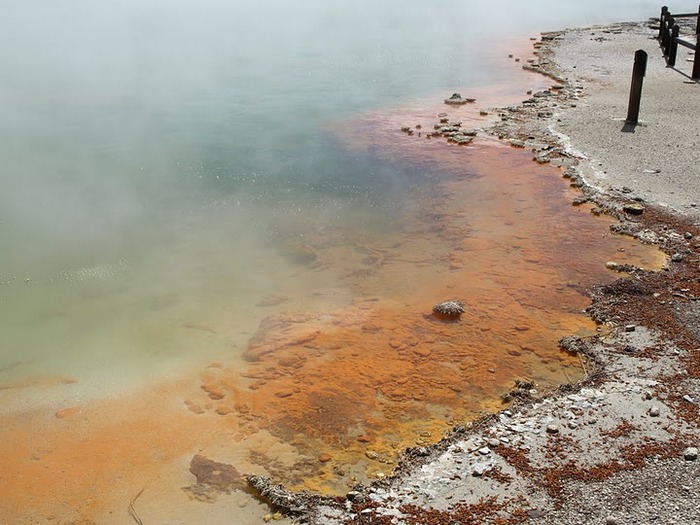 Священные Воды, или “Wai-O-Tapu” в Новой Зеландии. 60699