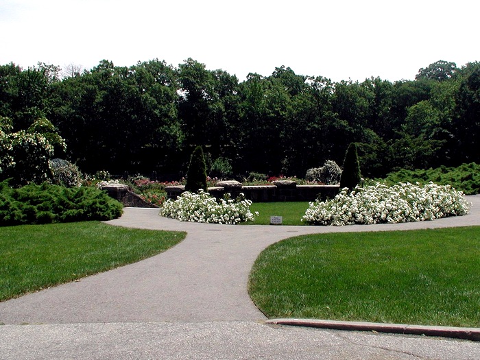 Ботанический сад, Нью-Йорк 026rosegarden (700x525, 156Kb)
