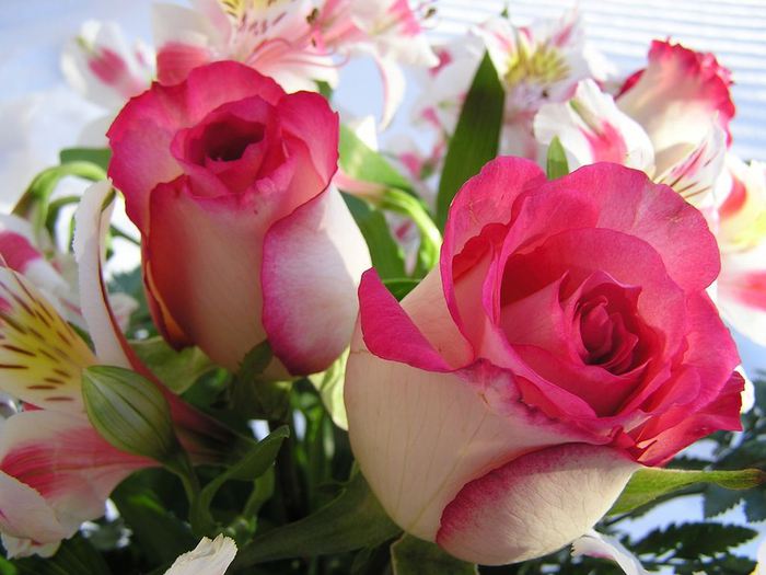 Beautiful_Bouquet_with_Roses (700x525, 54Kb)