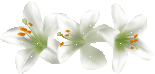 3748865_0_3e82c_e4407a12_M (155x74, 6Kb)