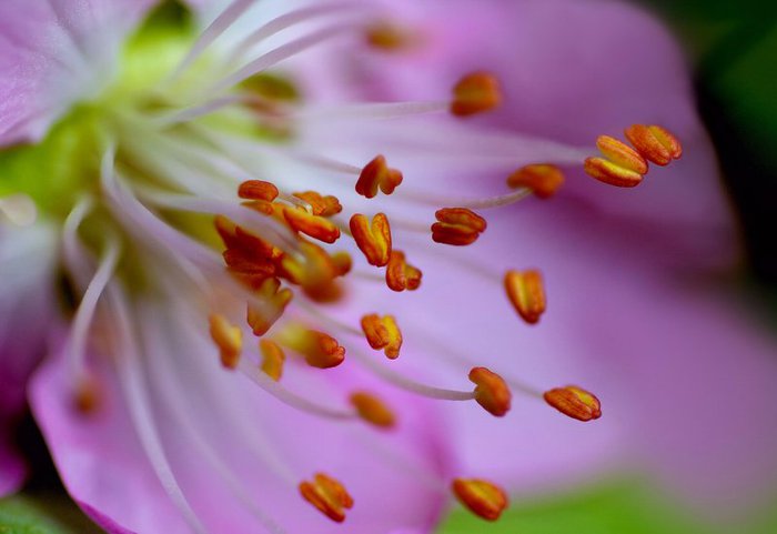 1901311_19 (700x481, 38Kb)