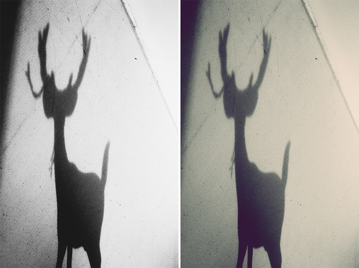 dear deer 0 (700x522, 240Kb)