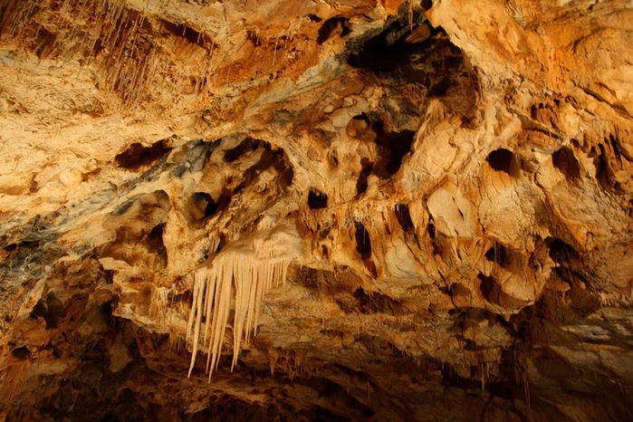 Медведь Пещера в селе Chiscau - Румыния - Bears' Cave, Chiscau, Romania, 54828