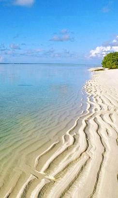 shoreline-along-ari-atoll-maldives-islands (244x408, 15Kb)