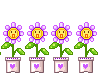 556d1e933b36ded1ee2aa8571b7be493 (100x73, 5Kb)