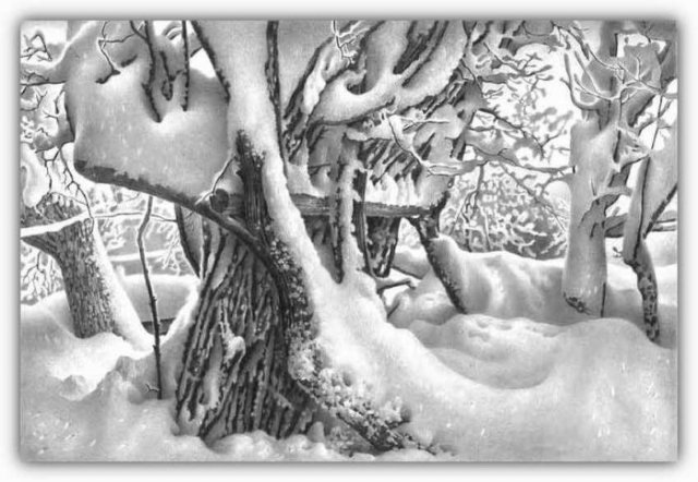 1293523450_beautiful_winter_drawings_32 (640x442, 65Kb)