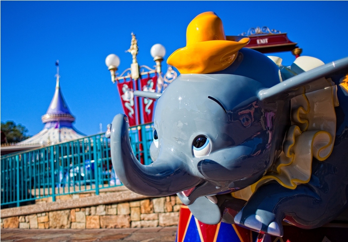 4410637787_ea8c3f7bde Magic Kingdom - Dumbo looking towards his new home_O (700x487, 221Kb)