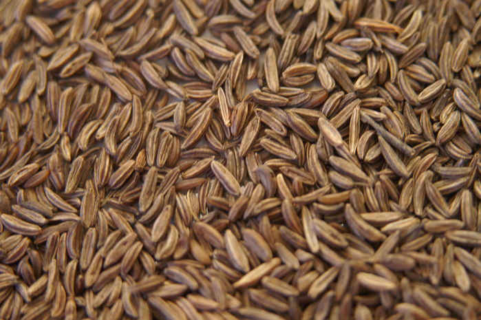 4278666_184496688_e668d1462f_Caraway_seeds_L (700x465, 236Kb)