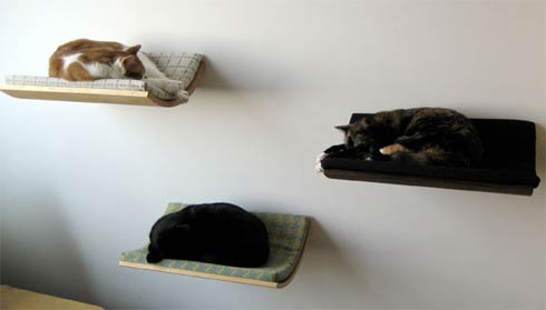 catbed (490x279, 10Kb)