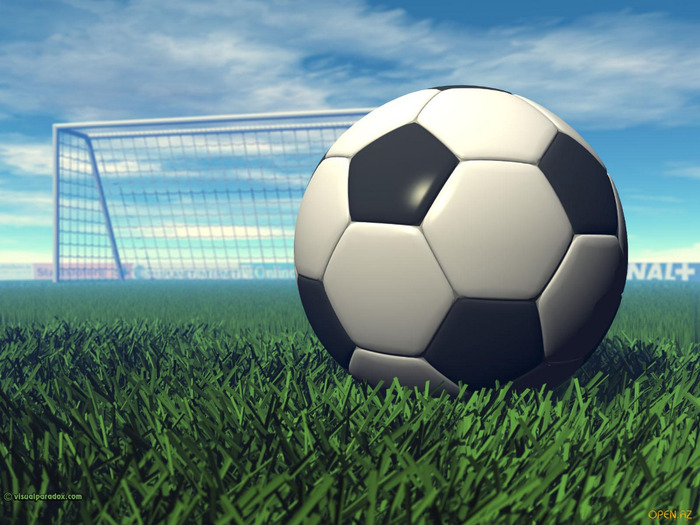 1239799849_soccer20ball20and20goal (700x525, 132Kb)