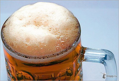 пиво (500x342, 44Kb)