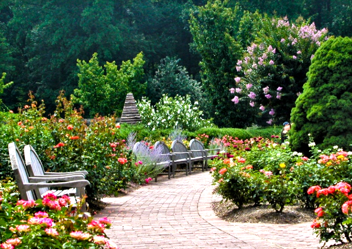 0901120835011a-pathway-thru-rose-garden.jpg (изображение «JPEG», 800x586 пикселов) - Масштабированное (95%) (700x496, 887Kb)