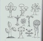  4000 motifs de fleurs et de plantes (60) (700x667, 92Kb)