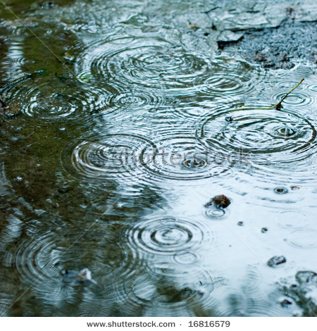 stock-photo-rain-drops-rippling-background-16816579 (450x470, 128Kb)