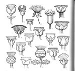  4000 motifs de fleurs et de plantes (178) (700x666, 110Kb)
