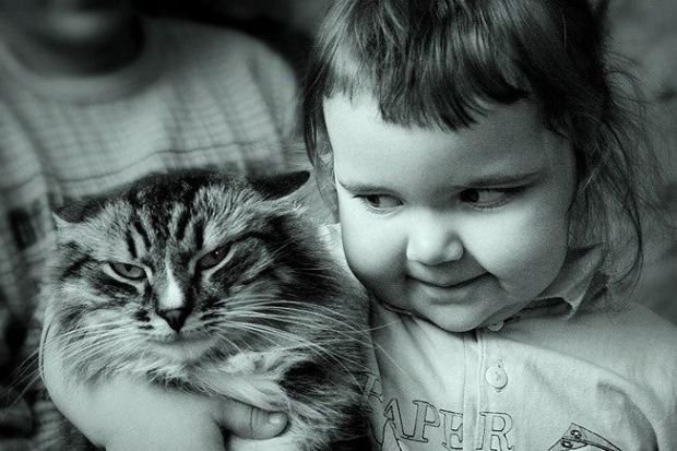 3676705_29 (700x413, 53Kb)