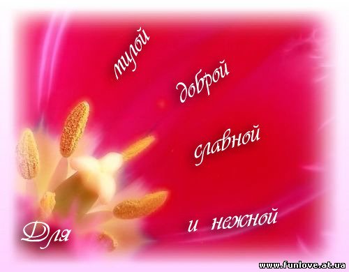 Ласковые слова комплимент Ласковые слова комплимент