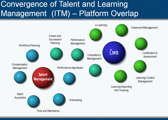 LMS Learning Management System