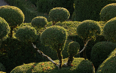 Изумрудные сады Маркессака (Франция) 16 (470x297, 111Kb)