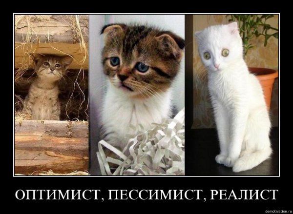 1278647534_optim (600x439, 56Kb)