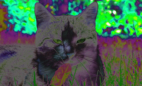 психомура (500x303, 494Kb)