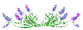 liniia-260 (163x60, 1Kb)