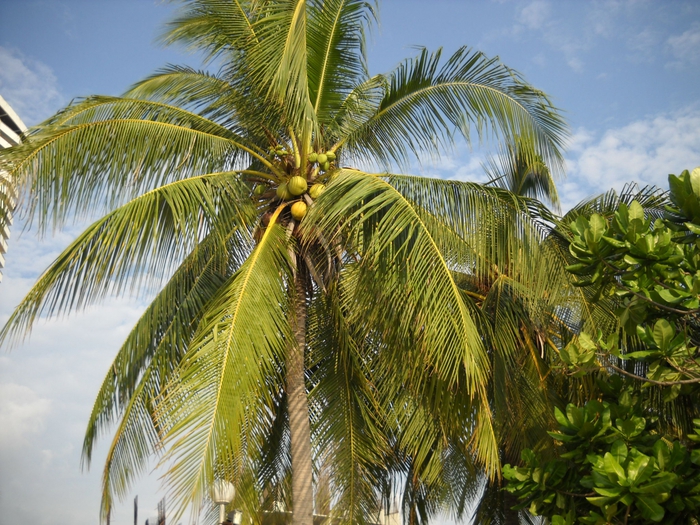 2757491_foto_117 (700x525, 361Kb)