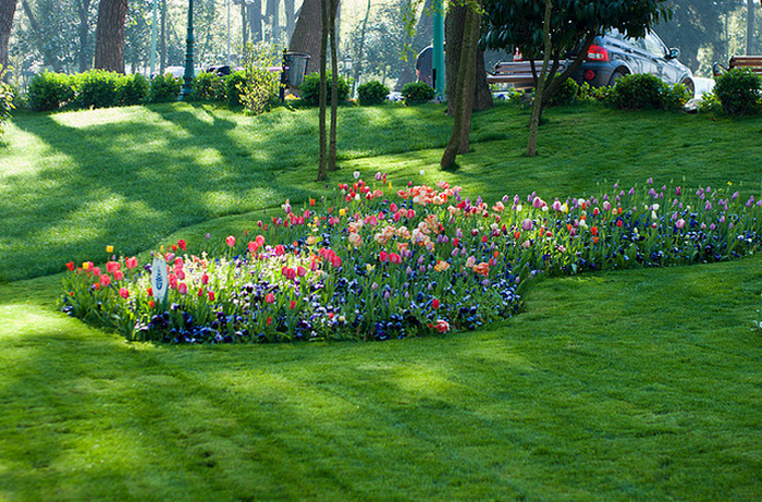 Istanbul Tulip Festival  Flickr - Photo Sharing! (700x461, 893Kb)