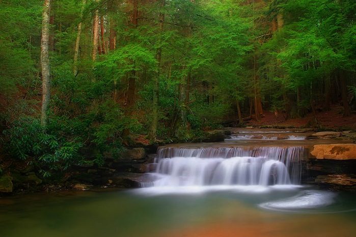 Swallow Falls State Park in Maryland USA 72360