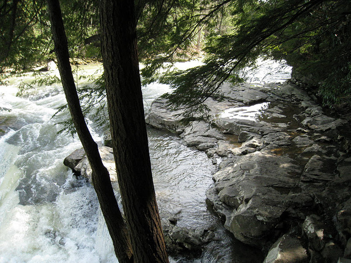 Swallow Falls State Park in Maryland USA 66098