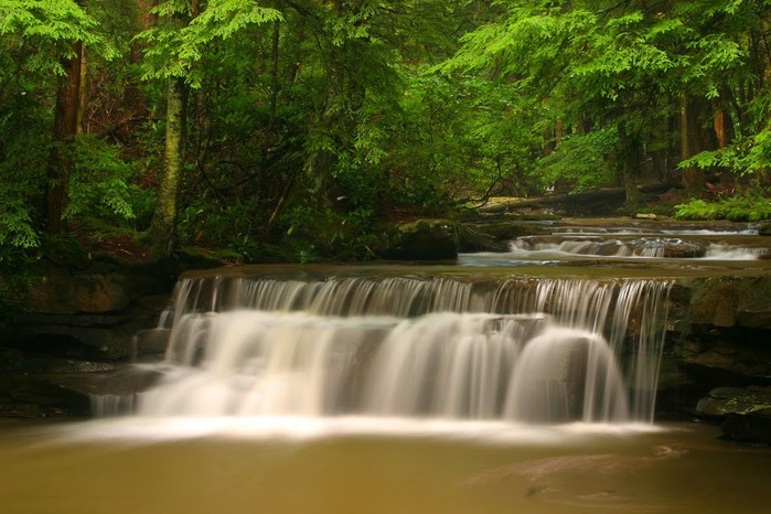 Swallow Falls State Park in Maryland USA 99195