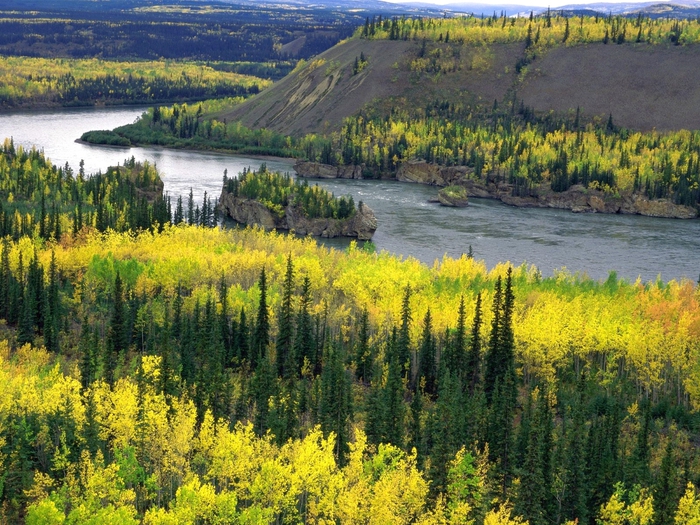 Yukon River (700x525, 388Kb)