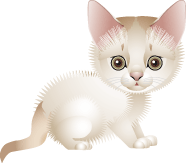 kot28 (186x163, 12Kb)