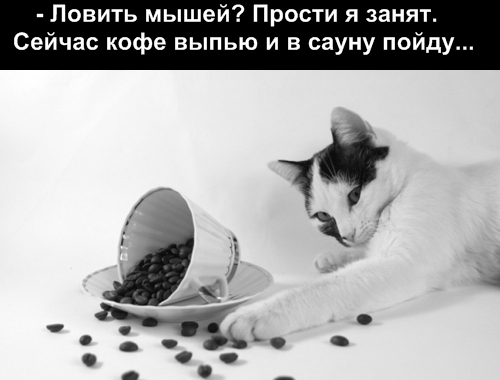 3416556_41933966_4 (500x380, 90Kb)