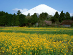  1600fuji_2016 (700x525, 675Kb)
