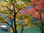  japan_F (67) (700x525, 752Kb)