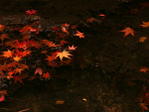  japan_F (110) (700x525, 477Kb)