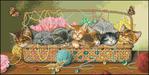  cats_in_basket (535x269, 38Kb)