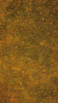 Превью Autumn_Paint_Splatter_Texture_by_Enchantedgal_Stock (393x700, 555Kb)
