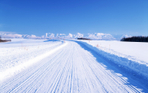  Hokkaido_1013 (700x437, 385Kb)