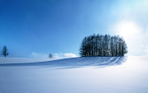  Hokkaido_1016 (700x437, 269Kb)