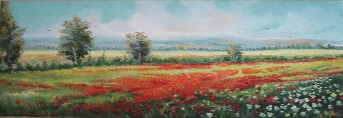 Field_on_Poppies_by_sorinapostolescu (700x241, 38Kb)