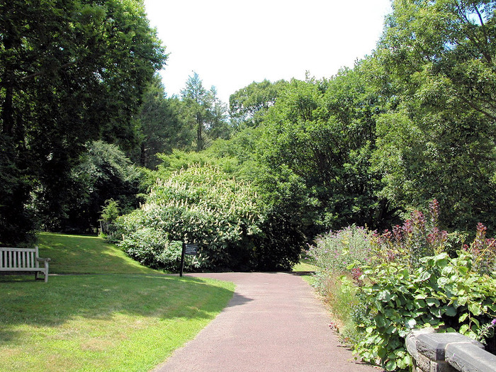 Общественный парк Morris Arboretum, Филадельфия 27824