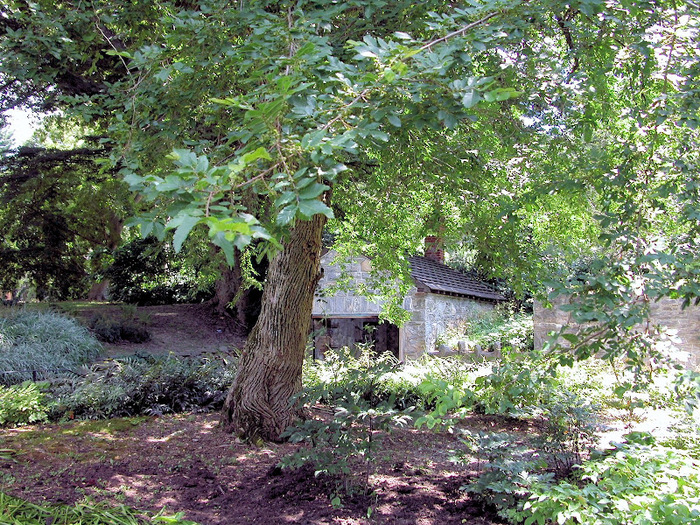 Общественный парк Morris Arboretum, Филадельфия 91877