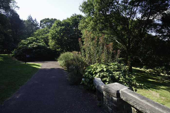 Общественный парк Morris Arboretum, Филадельфия 38674