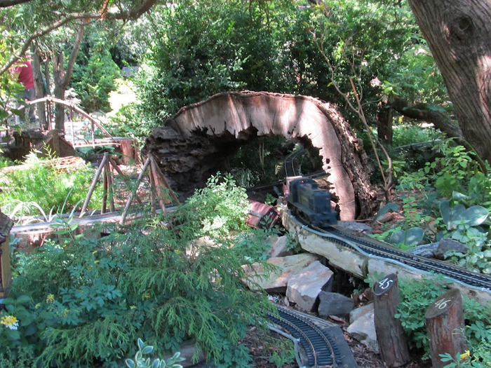 Общественный парк Morris Arboretum, Филадельфия 57726