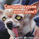  (128x128, 10Kb)