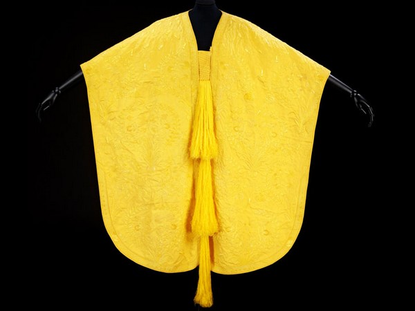 3925073_goldenspidersilkcape1 (600x450, 38Kb)