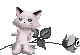   (80x55, 17Kb)